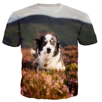 3D Prosti čas Tiskanje Mejni škotski ovčarski pes Nove Modne Moške/ženske T Shirt Vrhovi Dropshipping T-Shirt Kratek Rokav